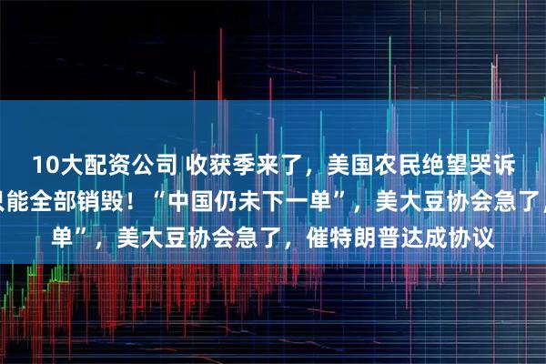 10大配资公司 收获季来了，美国农民绝望哭诉：中国不买了，我只能全部销毁！“中国仍未下一单”，美大豆协会急了，催特朗普达成协议